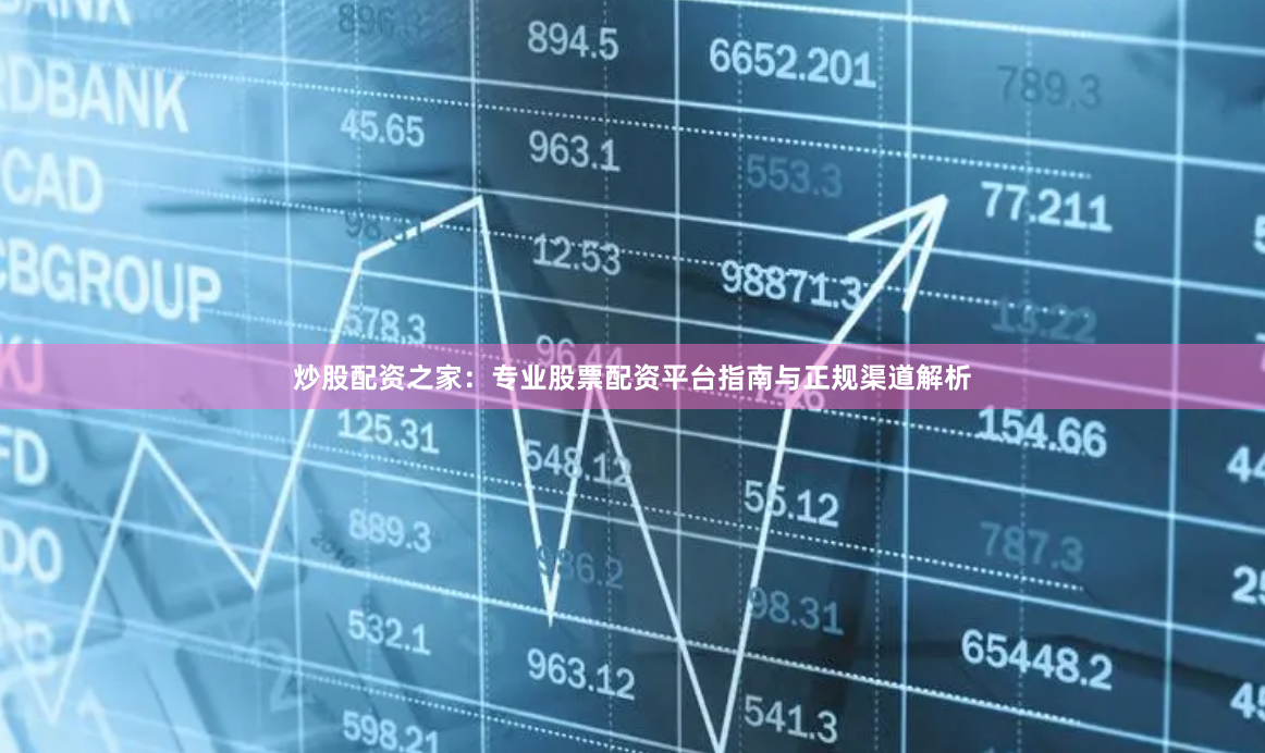 炒股配资之家：专业股票配资平台指南与正规渠道解析